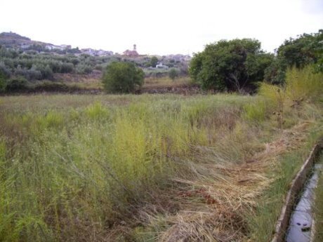 Land in Calasparra, Murcia for sale - Site Plan - Image 1 of 12