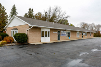 More details for 11831 Maple Rd, Birch Run, MI - Office for Sale