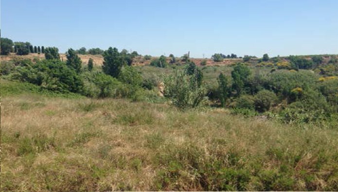 Land in Sant Sadurní d'Anoia, Barcelona for sale Floor Plan- Image 1 of 5