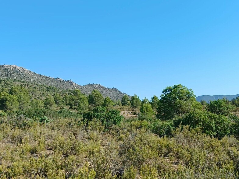 Land in Yecla, Murcia for sale - Aerial - Image 2 of 2