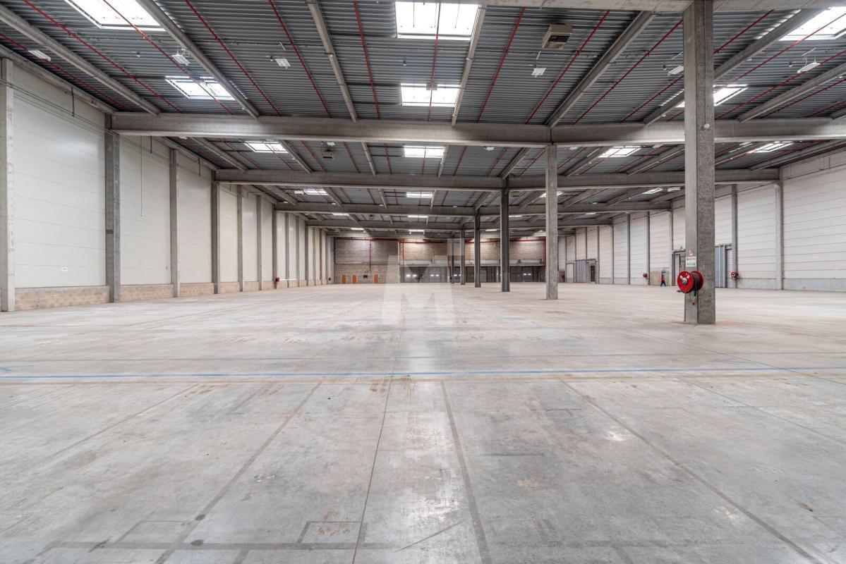 Industrial in Combs-la-Ville to rent Building Photo- Image 1 of 18