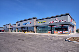 More details for 1070 Rest Acres Rd, Brant, ON - Retail for Rent