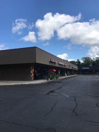 More details for 7374 Pittsford Palmyra Rd, Fairport, NY - Retail for Rent