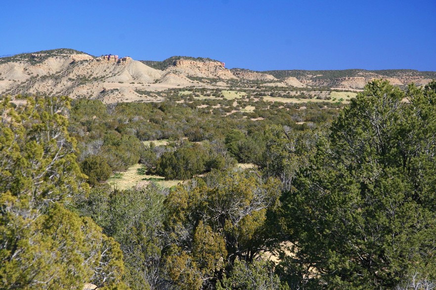 Arizonas Best Land Buy, Saint Johns, AZ for sale - Primary Photo - Image 1 of 1