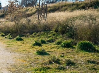 More details for Land for Sale