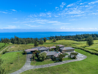 More details for 45-3514 NANAINA KAI, Honokaa, HI - Speciality for Sale