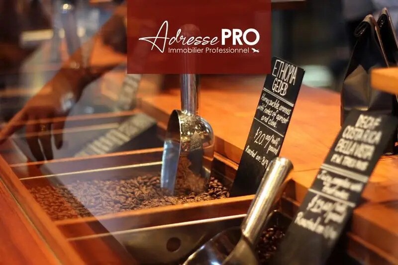 Retail in Lyon to rent Interior Photo- Image 1 of 5