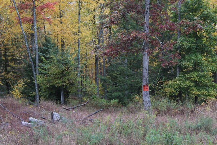 Kyttle Pike Rd, Shickshinny, PA for sale - Primary Photo - Image 1 of 1