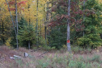 Kyttle Pike Rd, Shickshinny, PA for sale Primary Photo- Image 1 of 1