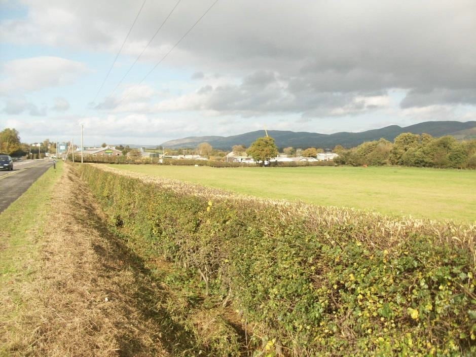 Lon Gwernydd, Ruthin for sale Primary Photo- Image 1 of 8