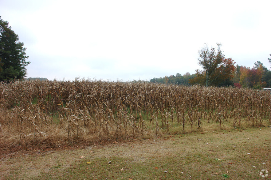 Mitchell St, Batesburg, SC for sale - Primary Photo - Image 1 of 1