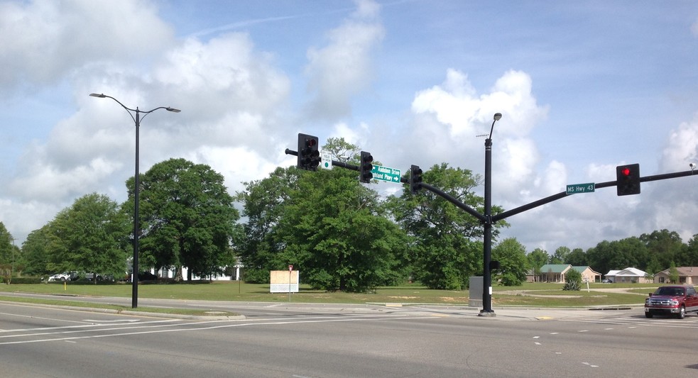 0 MS Highway 43, Picayune, MS for sale - Building Photo - Image 1 of 1