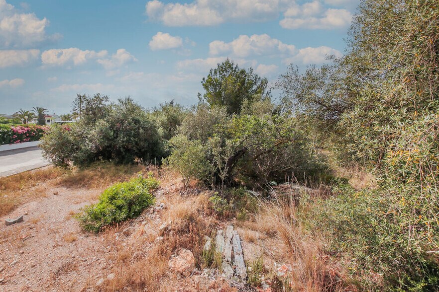 Land in Alcanar, Tarragona for sale - Primary Photo - Image 1 of 11