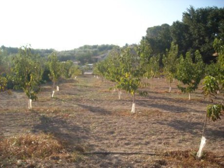 Land in Calasparra, Murcia for sale Building Photo- Image 1 of 15