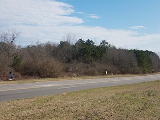 More details for Hwy 31 South, Clanton, AL - Land for Sale