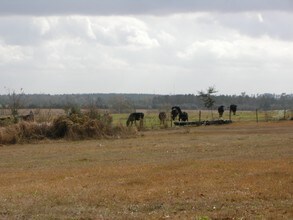 10020 Pilgrim Trl, Molino, FL for sale Building Photo- Image 1 of 1