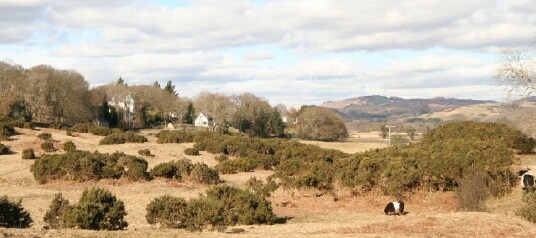 Bracken Wood, Gatehouse Of Fleet for sale Primary Photo- Image 1 of 1