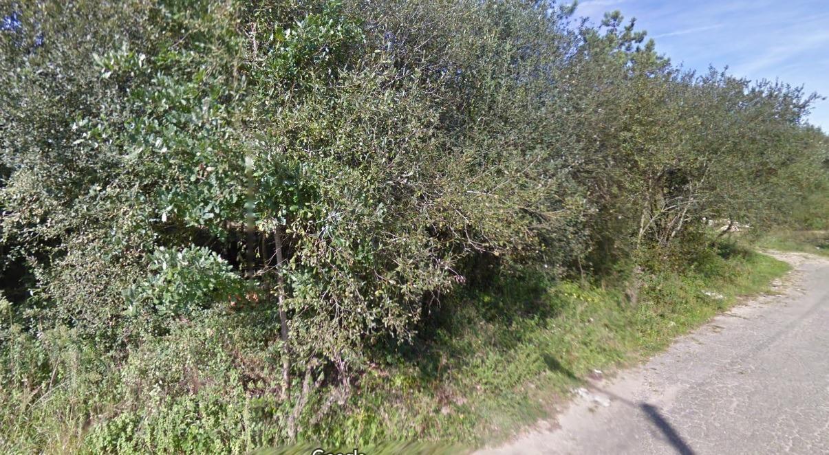 Land in O Porriño, Pontevedra for sale Site Plan- Image 1 of 10
