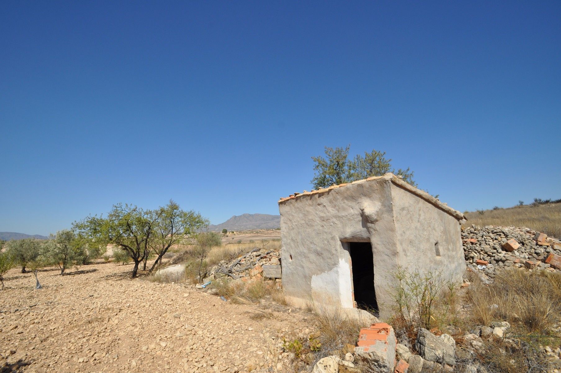 Land in Jumilla, Murcia for sale Primary Photo- Image 1 of 14