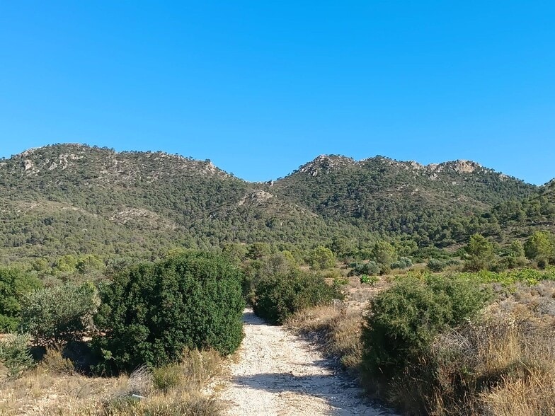 Land in Yecla, Murcia for sale - Aerial - Image 3 of 3