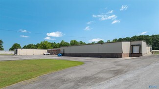 More details for 913 Andrew Lee Dr, Henagar, AL - Industrial for Sale