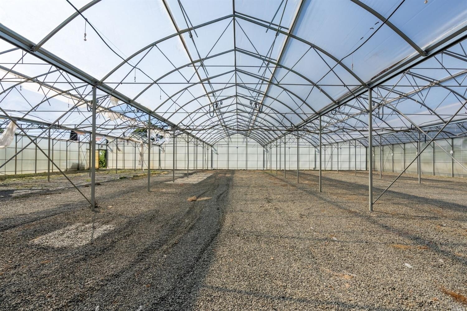 6760 Pleasants Valley Rd, Vacaville 95688 Grapevine Nursery