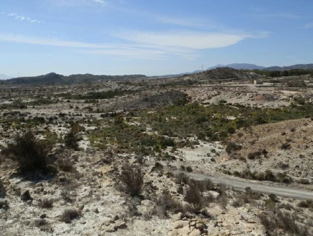 del Poligo, 10, Murcia, Murcia to rent - Aerial - Image 1 of 12