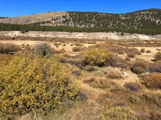 More details for River Rd, Leadville, CO - Land for Sale