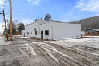 More details for 896 Ithaca Rd, Willseyville, NY - Retail for Sale