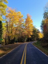 80 Happy Nest Road, Sylva, NC for sale Primary Photo- Image 1 of 1