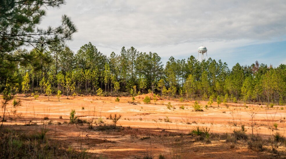 000 Woodland Dr, Wiggins, MS for sale - Aerial - Image 2 of 5