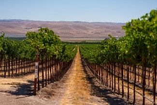 More details for 63950 Bernardo Rd, San Ardo, CA - Land for Sale