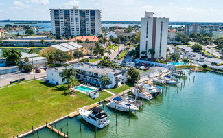 More details for 223 Dolphin Pt, Clearwater, FL - Residential for Sale