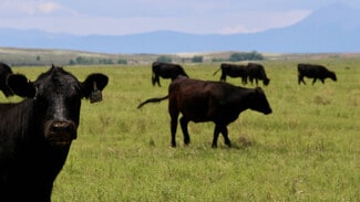 More details for 48999 County Road 48, Model, CO - Land for Sale