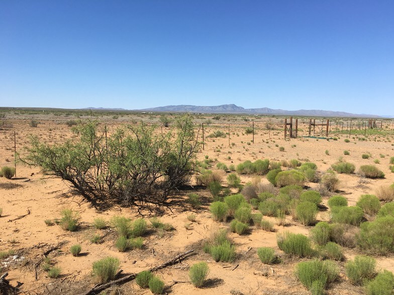 736 Upham Rd, Truth Or Consequences, NM for sale - Building Photo - Image 1 of 1