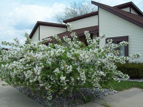 1150 N Ottokee St, Wauseon, OH for rent Building Photo- Image 1 of 16