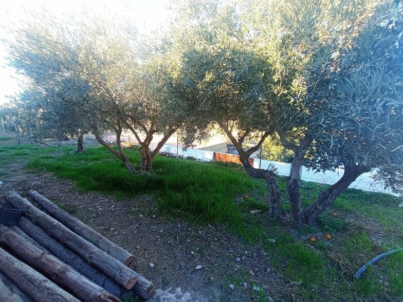 del Cerrillo Páez, 5, Dalías, Almería for sale - Building Photo - Image 3 of 10