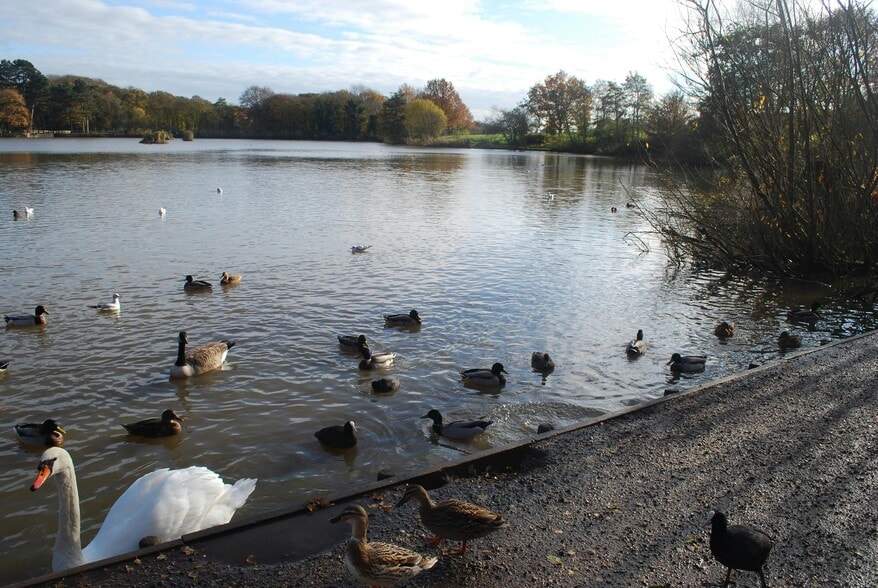 Plot C Shipley Lakeside, Heanor for sale - Building Photo - Image 3 of 6