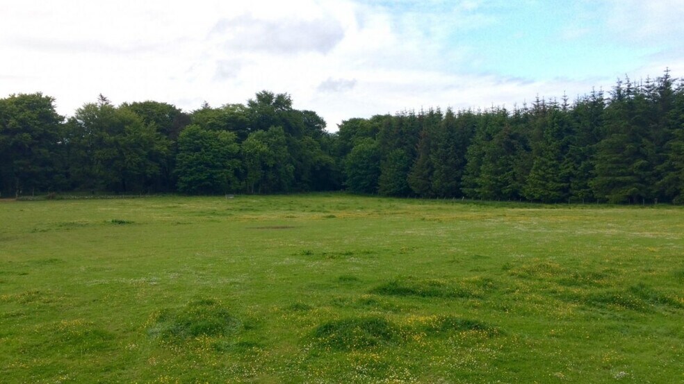 Brucklay Estate, Maud for sale - Building Photo - Image 1 of 1