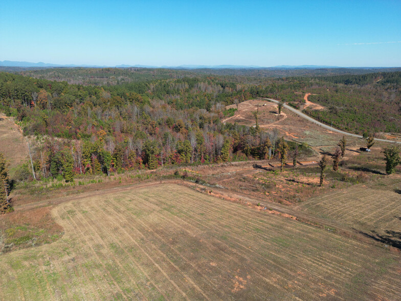 Corner of Ponder Rd. and Pea Ridge Rd., Mill Spring, NC for sale - Building Photo - Image 2 of 3