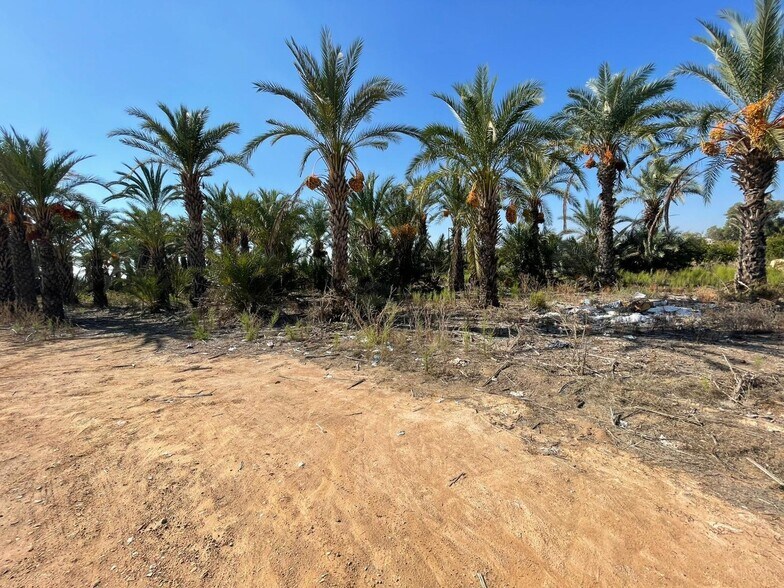 Land in Crevillent, Alicante for sale - Primary Photo - Image 2 of 5