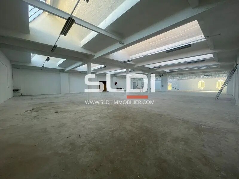 Light Industrial in Villeurbanne for sale Interior Photo- Image 1 of 9