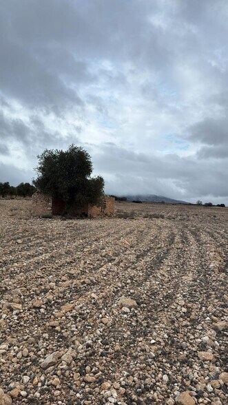 Land in Yecla, Murcia for sale - Building Photo - Image 1 of 7