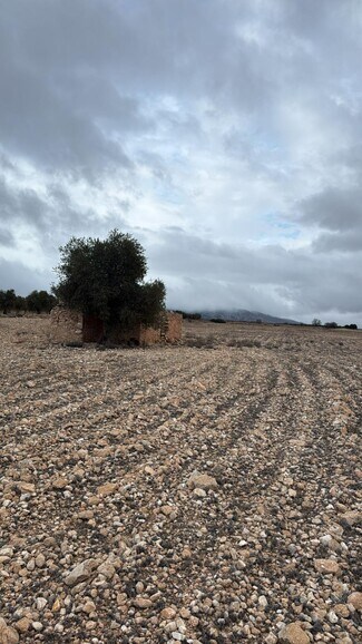 More details for Land for Sale