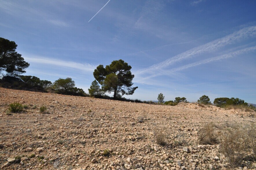 Land in Jumilla, Murcia for sale - Site Plan - Image 2 of 23