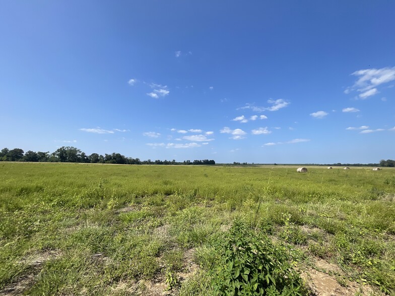 17192 Co 21 rd, Marion Junction, AL for sale - Building Photo - Image 1 of 16