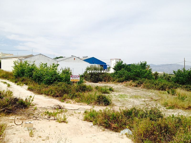 Land in Agullent, Valencia for sale Primary Photo- Image 1 of 3