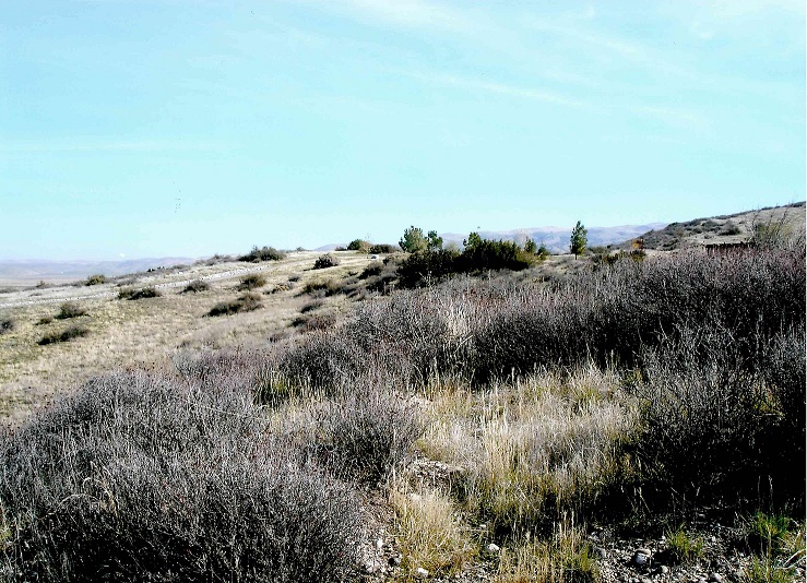 Cuyama Hwy, Maricopa, CA for sale - Building Photo - Image 2 of 6