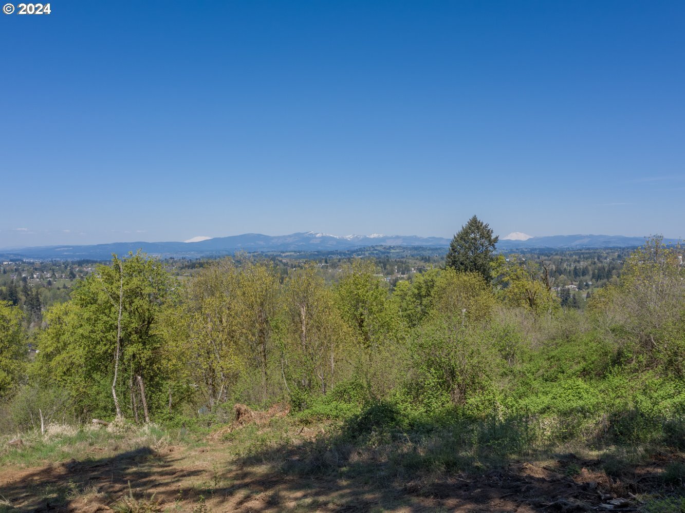 0 Rugg Rd, Damascus, OR for sale Site Plan- Image 1 of 1