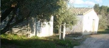 Camí del Llombo, S/N, Ontinyent, Valencia for sale - Building Photo - Image 2 of 4